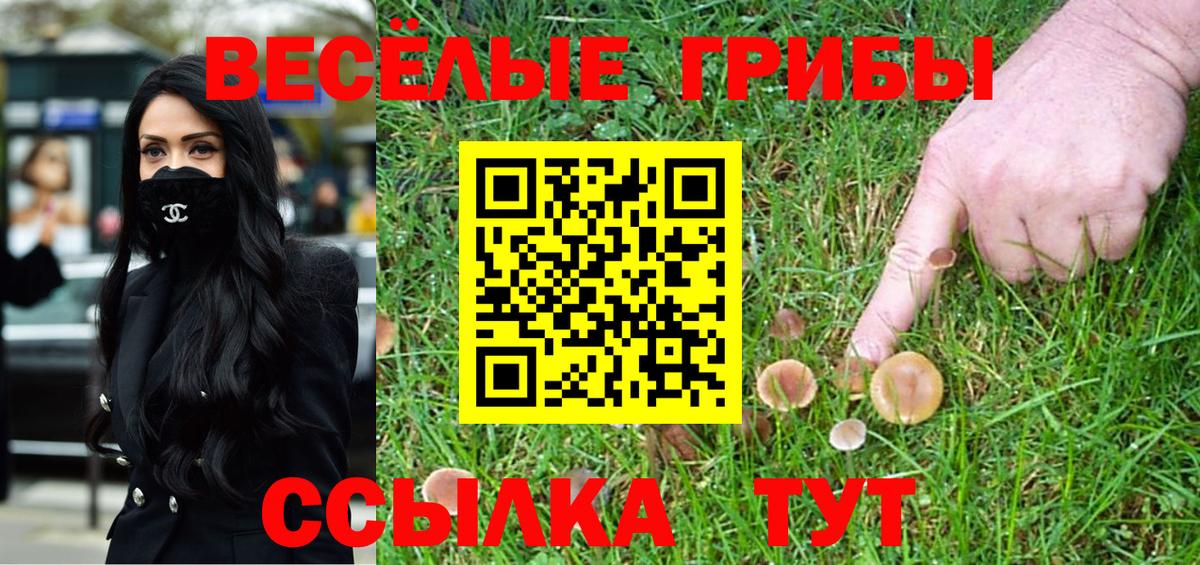 Псилоцибиновые грибы MAGIC MUSHROOMS  Галлюциногенные грибы Psilocybe  Боровичи  Вход с VPN 